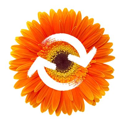 fleur et flèches en mouvement