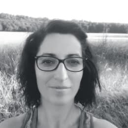 Responsable du développement des compétences ISIA