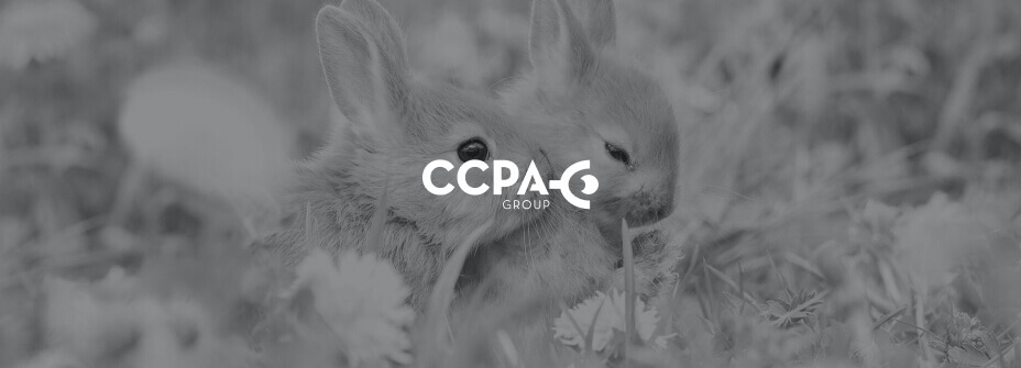 CCPA Group
