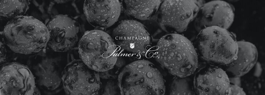 Champagne Palmer & Co
