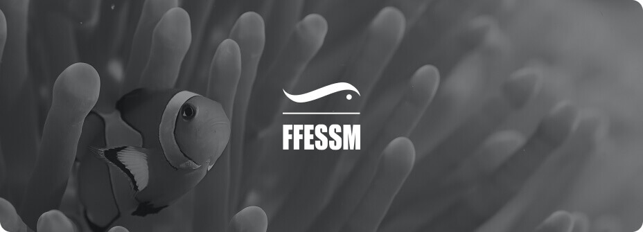 FFESSM